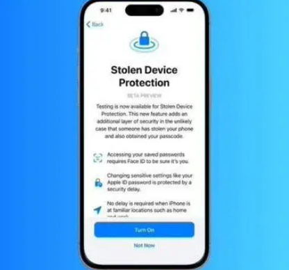 沈丘苹果授权维修店分享被盗设备保护功能开启方法 
