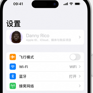 沈丘appleID维修服务iPhone设置中Apple ID显示为灰色无法使用