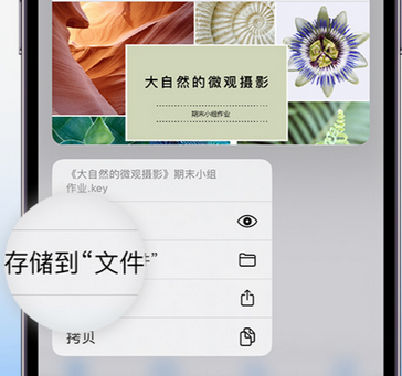 沈丘apple维修中心分享iPhone文件应用中存储和找到下载文件