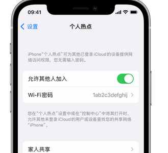 沈丘apple服务站点分享iPhone上个人热点丢失了怎么办 