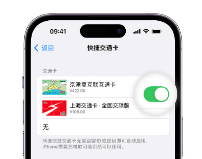 沈丘apple维修点分享iPhone上更换Apple Pay快捷交通卡手绘卡面 