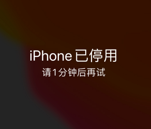 沈丘苹果手机维修分享:iPhone 显示“不可用”或“已停用”怎么办？还能保留数据吗？ 