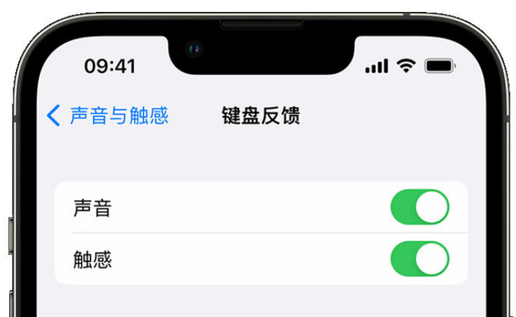 沈丘苹果手机维修分享iPhone 14触感键盘使用方法 