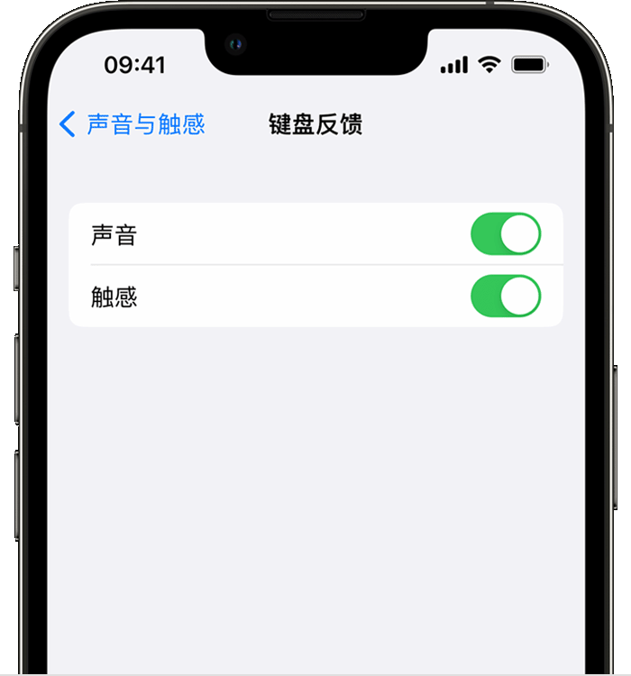 沈丘苹果14维修店分享如何在 iPhone 14 机型中使用触感键盘 