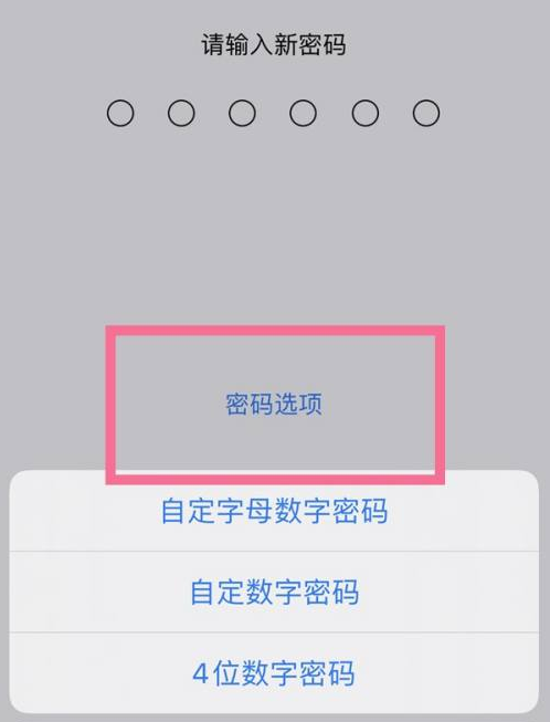 沈丘苹果14维修分享iPhone 14plus设置密码的方法 