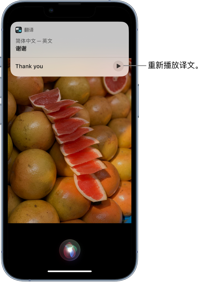 沈丘苹果14维修分享 iPhone 14 机型中使用 Siri：了解 Siri 能帮你做什么 