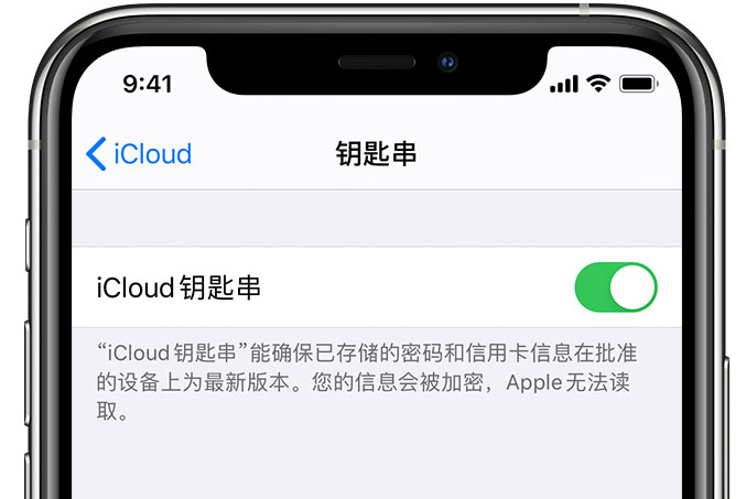 沈丘苹果手机维修分享在 iPhone 上开启 iCloud 钥匙串之后会储存哪些信息 