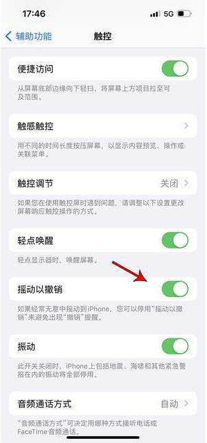 沈丘苹果手机维修分享iPhone手机如何设置摇一摇删除文字 